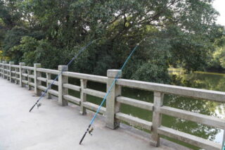 China Carbon Fishing Rod Market Growth, Drivers, and Opportunities 2035