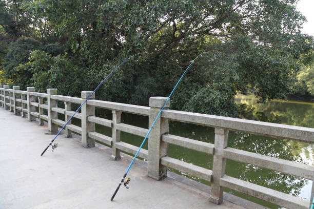 China Carbon Fishing Rod Market Growth, Drivers, and Opportunities 2035