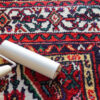 Japan Carpet Cleaning Products Market Strategic Insights and Business Growth Potential