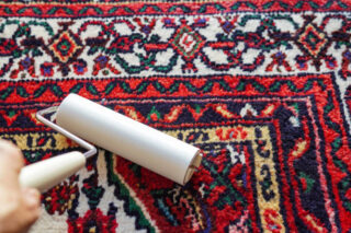 Japan Carpet Cleaning Products Market Strategic Insights and Business Growth Potential