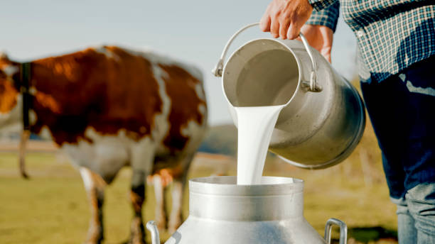 Europe Food & Beverage Metal Cans Market Size, Trends, Analysis and Forecast till 2035