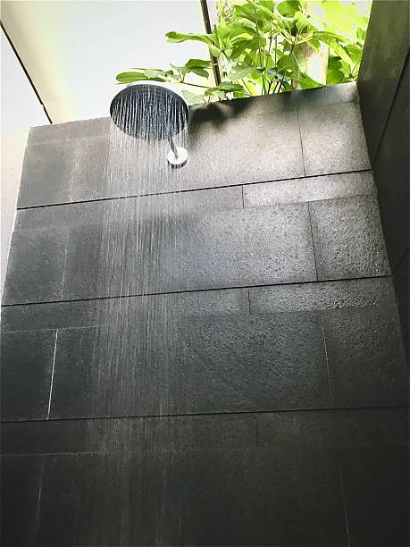 Singapore Shower Faucets Market Size & Revenue Analysis 2035