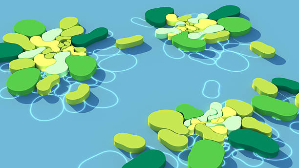 Japan Enterprise Availability Management Market Forecast: Global Growth Outlook till 2035