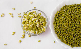 U.S. Hydroponics Market Industry Analysis, Size, and Demand Forecast