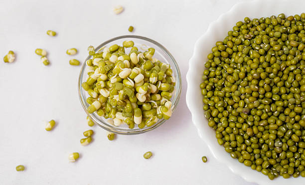 U.S. Hydroponics Market Industry Analysis, Size, and Demand Forecast