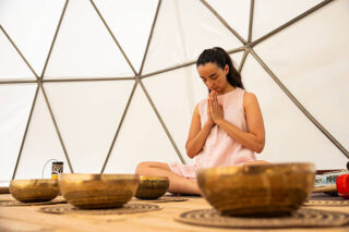 Singapore Sound Absorbing Material Market Insights: Regional and Segmental Analysis