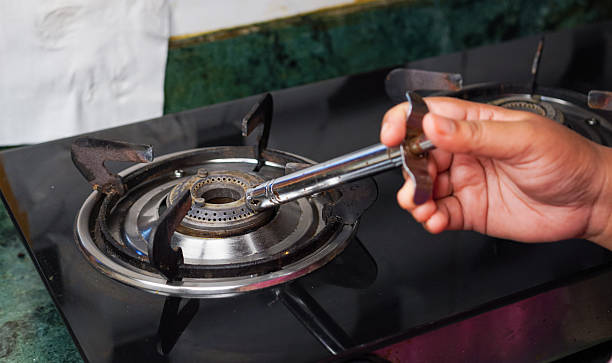 U.S. Gas Stove Burner Market Strategic Insights and Business Growth Potential