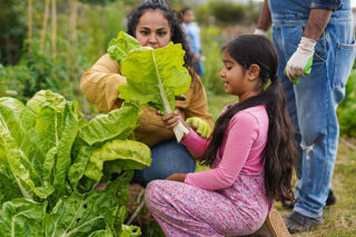 Europe Kids Food Market Forecast: Global Growth Outlook till 2035