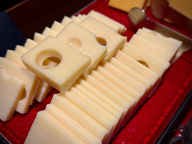 Singapore Processed Cheese Market Size, Share, Growth Drivers Report 2035