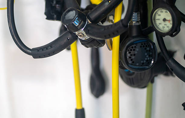 Japan Nitrogen Regulators Market Industry Analysis, Size, and Demand Forecast