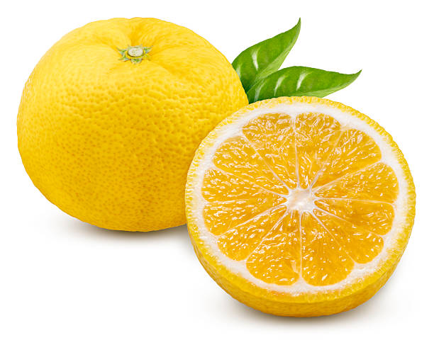 Japan Aroma Ingredients Market Size & Revenue Analysis 2035