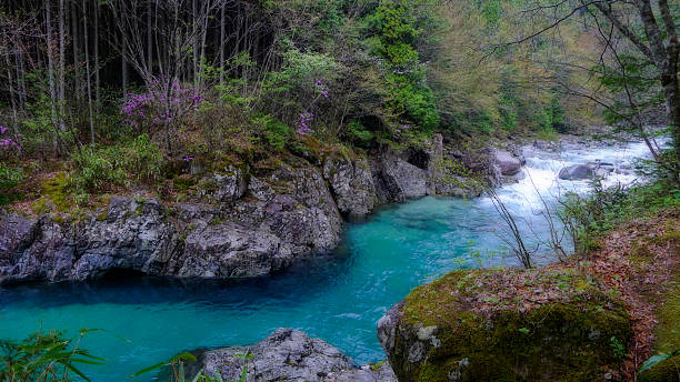 Japan Green Cooling Technologies Market Trends and Strategic Analysis 2025–2035