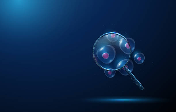 Cell Expansion Market Study: Comprehensive Segmentation and Forecast