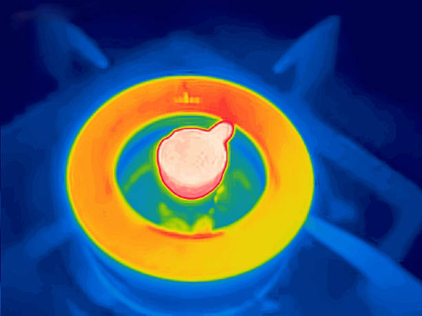 China Infrared Gas Detector Market Insights: Regional and Segmental Analysis