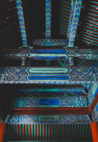 China Walnut Market Growth, Drivers, and Opportunities 2035