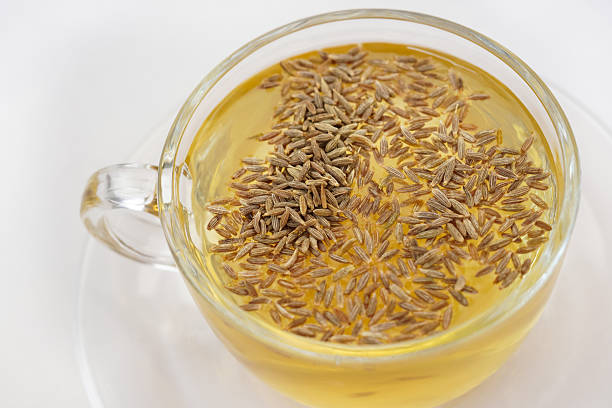 U.S. Seed Treatment Market Trends and Strategic Analysis 2025–2035