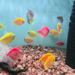 China Water Filtration Unit Market Opportunities and Regional Insights 2025–2035