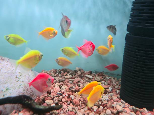 China Water Filtration Unit Market Opportunities and Regional Insights 2025–2035