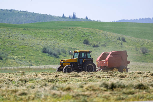 U.S. Agriculture Baler Market Strategic Insights and Business Growth Potential