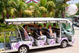 Singapore Golf Cart and NEV Market Forecast: Global Growth Outlook till 2035