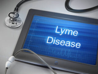 Lyme Disease Diagnostics Market Outlook: Strategic Growth and Industry Insights