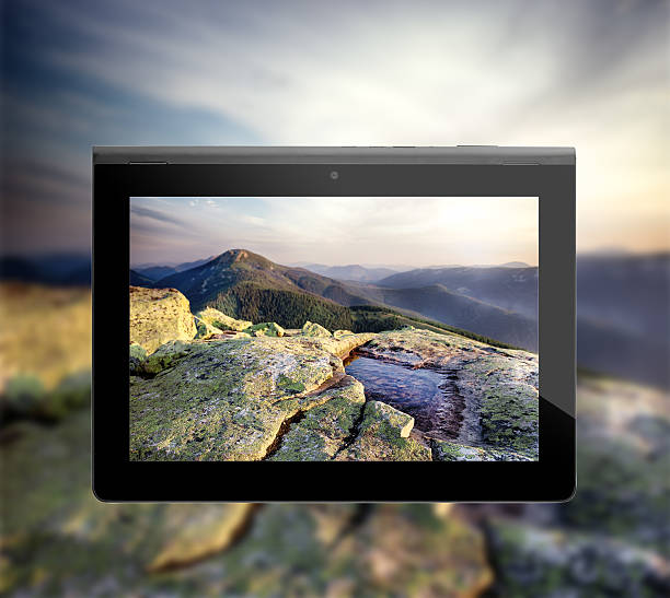 China Rugged Sunlight Readable Tablet Market Industry Analysis, Size, and Demand Forecast