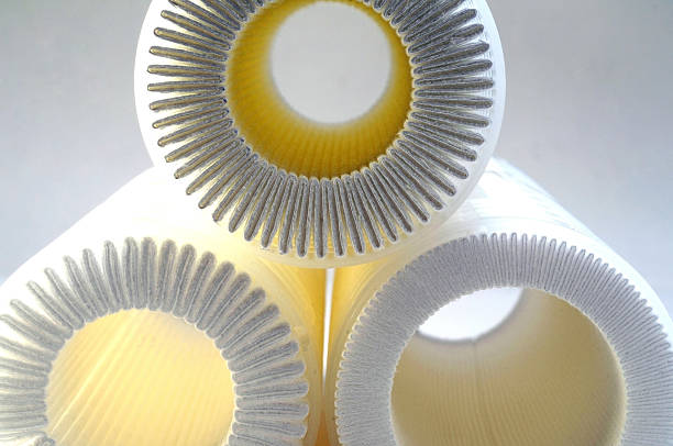 China Filter Membrane Market Insights: Regional and Segmental Analysis