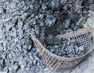 China Biochar Market Strategic Insights and Business Growth Potential