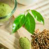 Japan Moringa Products Market Strategic Insights and Business Growth Potential