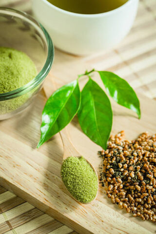 Japan Moringa Products Market Strategic Insights and Business Growth Potential