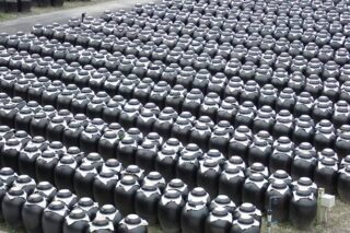 Japan Man Made Humic Acid Fertilizer Market Growth, Drivers, and Opportunities 2035