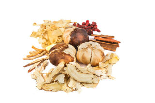 Singapore Probiotic Ingredients Market Size, Trends, Analysis and Forecast till 2035