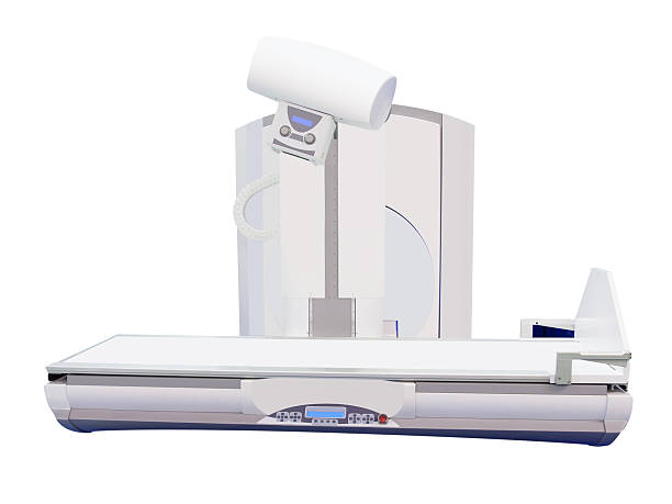 Japan Veterinary Radiography Systems Market Opportunities and Regional Insights 2025–2035