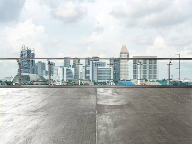 Singapore Anti-Static Flooring Market Strategic Insights and Business Growth Potential