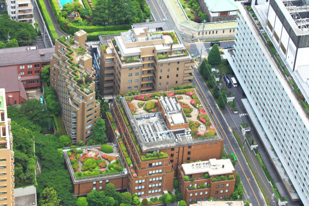 Japan Green-Roof Market Trends and Strategic Analysis 2025–2035
