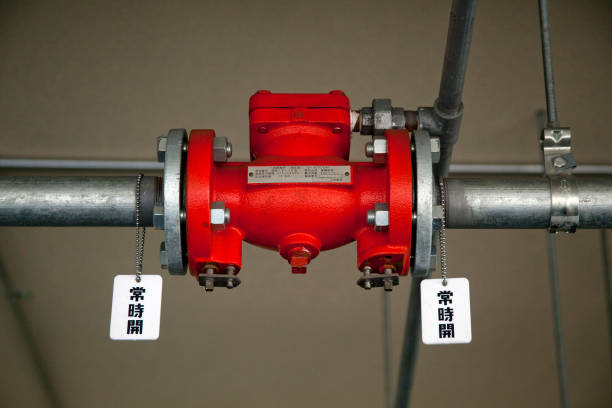 Japan Automatic Balancing Valves Market Opportunities and Regional Insights 2025–2035