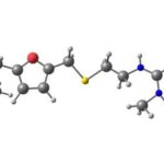 Japan Ranitidine Market Insights: Regional and Segmental Analysis