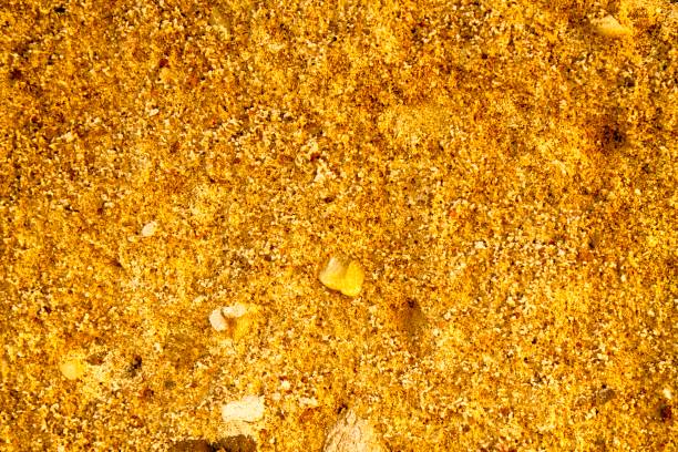 Singapore Cattle Feed and Feed Additives Market Outlook 2025–2035: Trends and Forecast