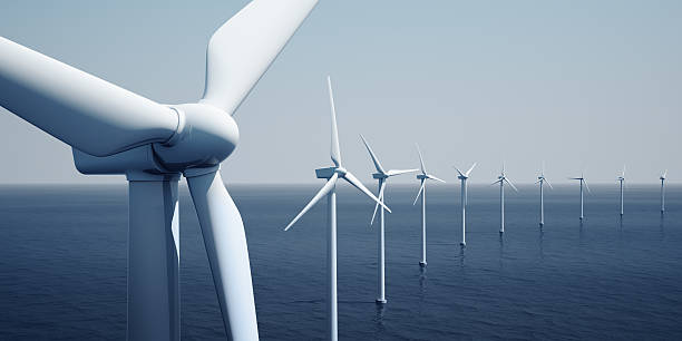 China Wind Turbine Rotor Blades Market Insights: Regional and Segmental Analysis