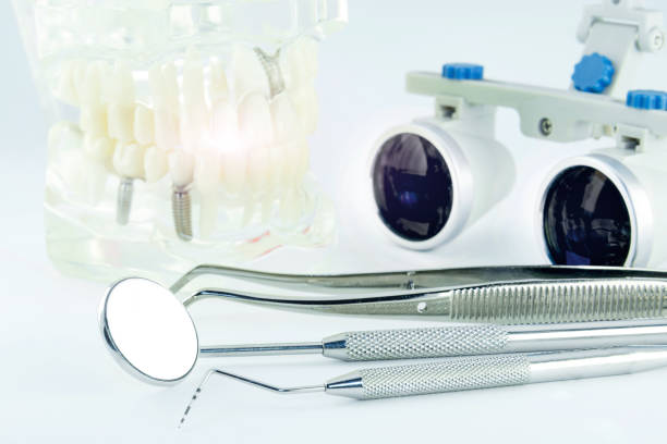 Japan Dental consumables Market Insights: Regional and Segmental Analysis
