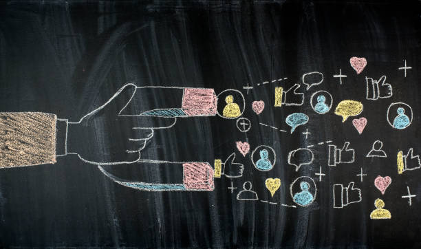 Japan Loyalty Management Market Outlook 2025–2035: Trends and Forecast