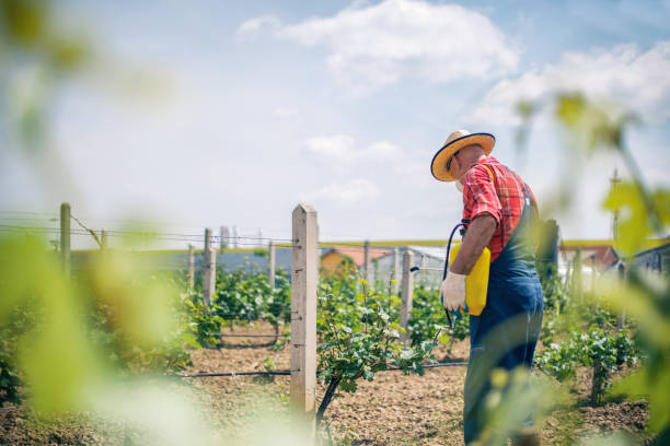 Europe Fertilizer Mixtures Market Size, Trends, Analysis and Forecast till 2035