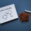 Nicotine Market Report Forecasts Dynamic Growth Through 2035