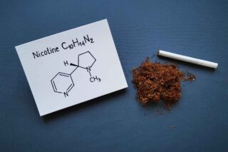 Nicotine Market Report Forecasts Dynamic Growth Through 2035