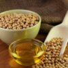 High Oleic Soyabean Market Report Forecasts Dynamic Growth Through 2035