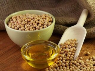 High Oleic Soyabean Market Report Forecasts Dynamic Growth Through 2035