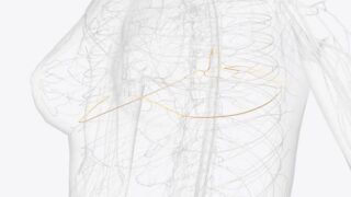 Japan Medical Dermatomes Market Intelligence Report: Recession Readiness and Tariff Implications