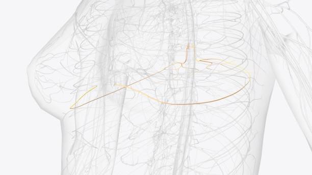 Japan Medical Dermatomes Market Intelligence Report: Recession Readiness and Tariff Implications