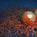 Japan Radiation Therapy Software Market Intelligence Report: Recession Readiness and Tariff Implications