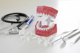Japan Zirconia Implant Market Watch: Strategic Forecasts Amid Rising Economic Volatility